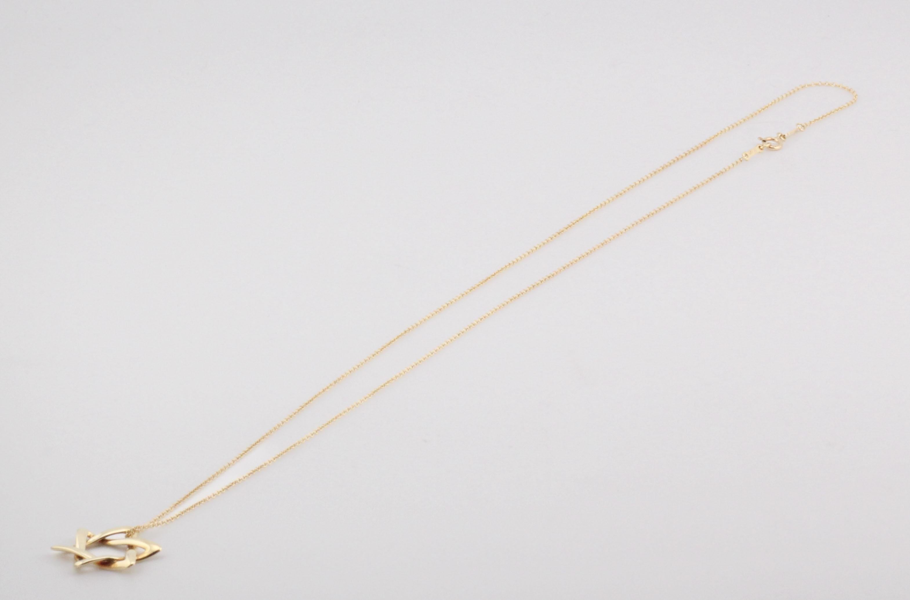 Tiffany & Co. Elsa Peretti, collana lunga con ciondolo a forma di stella di David in oro 18 carati XLarge In condizioni buone in vendita a Simpsonville, SC