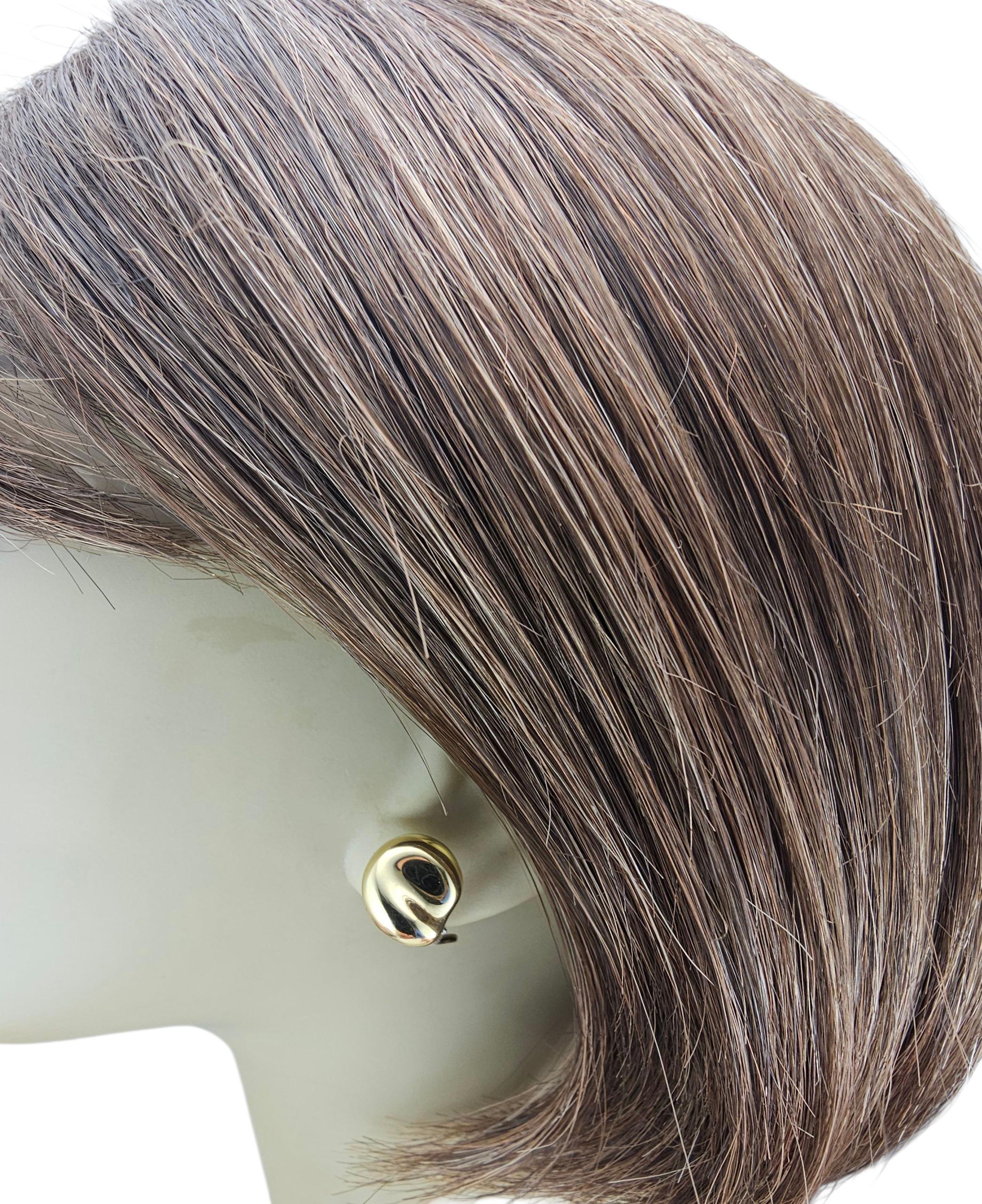 Tiffany & Co. Orecchini Omega Back 