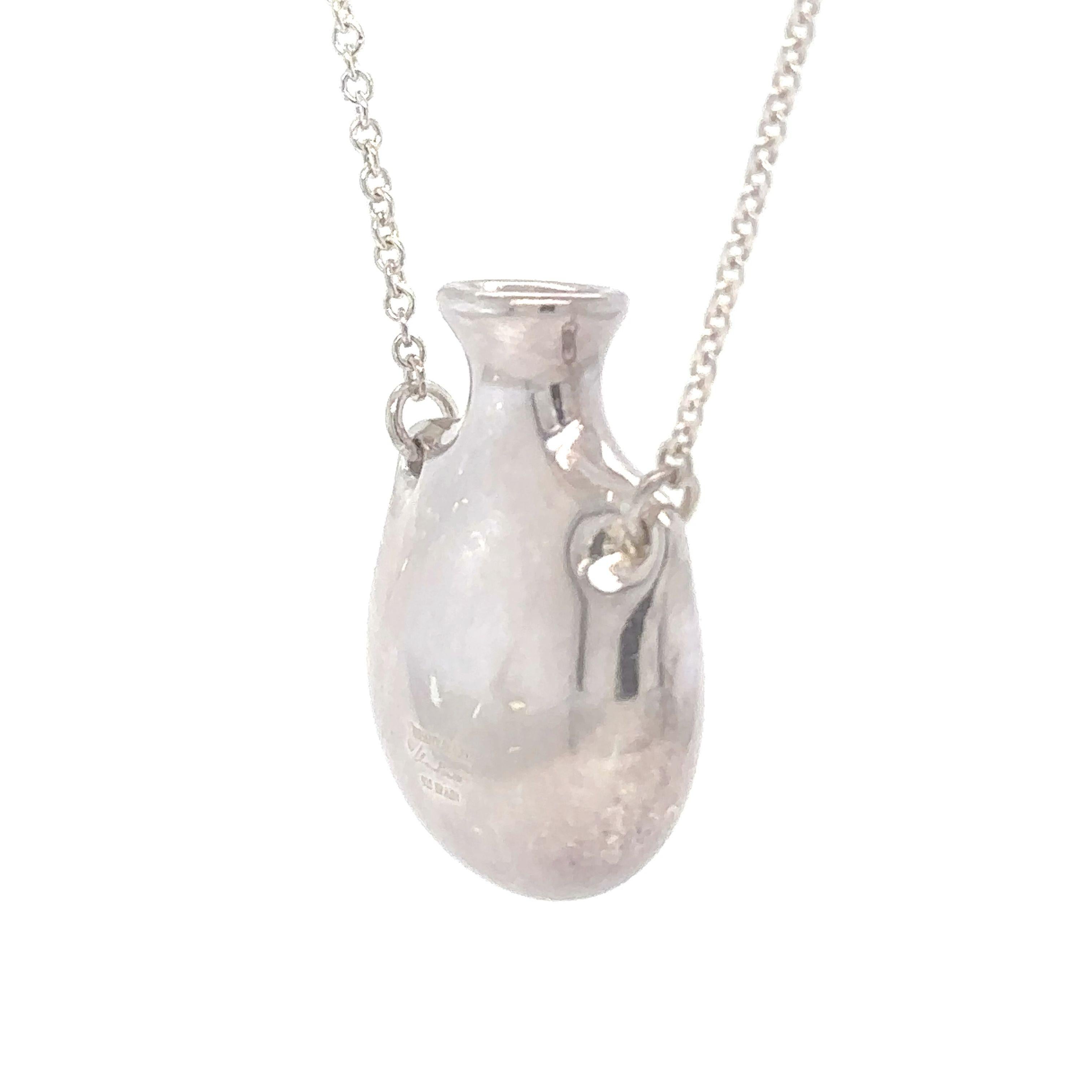 Tiffany & Co Elsa Peretti Bottle Neck Chain For Sale 1