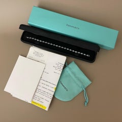 Rare Tiffany & Co. Platinum Aquamarine Colors by the Yard Bracelet - 23 Stones