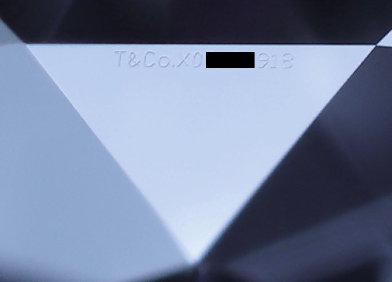 Tiffany & Co. Orecchini con perno di Elsa Peretti in platino con diamanti da 0,46 ct. in vendita 8