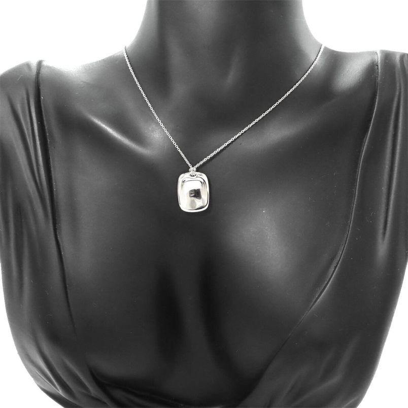 TIFFANY & Co. Elsa Peretti, collier pendentif étiquette en platine en vente 1
