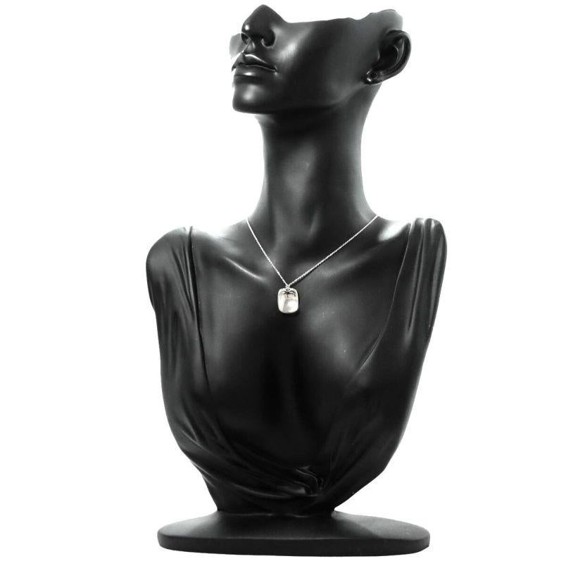 TIFFANY & Co. Elsa Peretti, collier pendentif étiquette en platine en vente 2