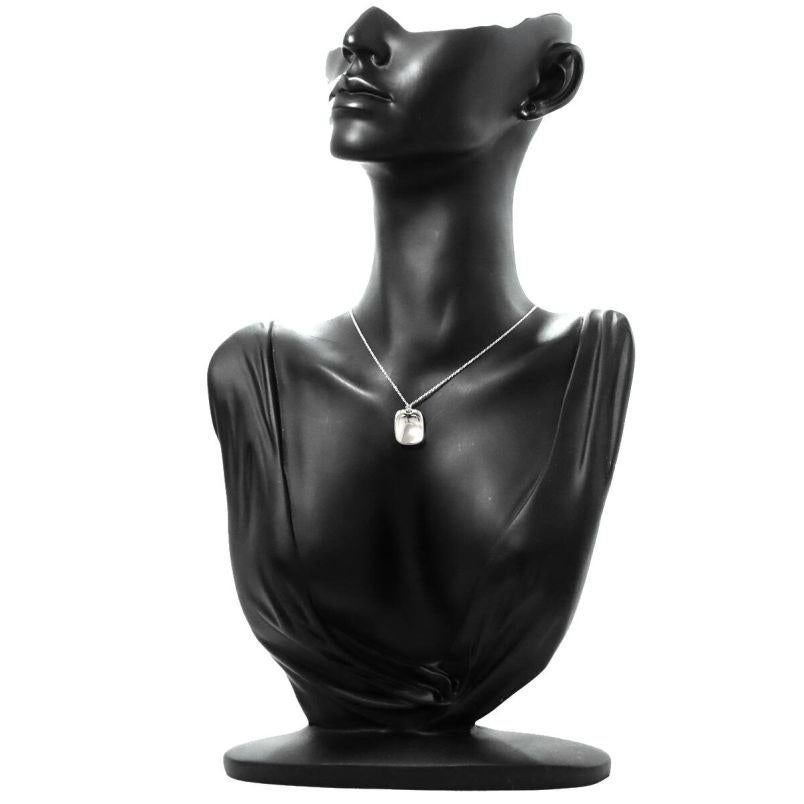 TIFFANY & Co. Elsa Peretti Platinum Tag Pendant Necklace For Sale 2