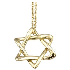 Tiffany & Co. Elsa Peretti Star of David Large 18k Yellow Gold Pendant Necklace