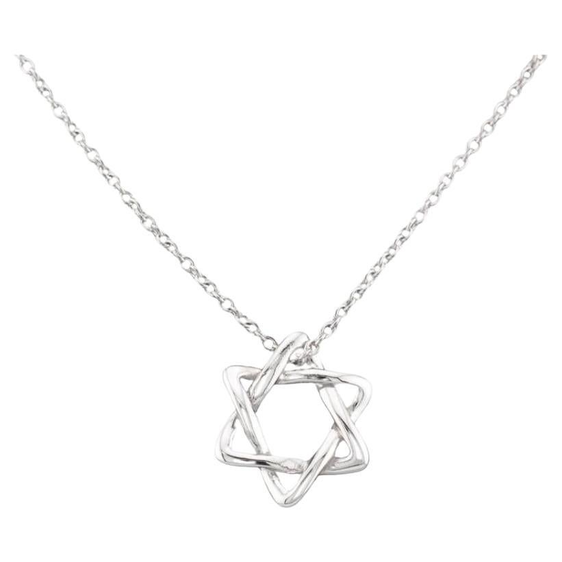 Tiffany & Co. Elsa Peretti Star of David Platinum Small (12 mm) Necklace Pendant