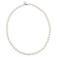Tiffany & Co. Essential Pearls Necklace 16' Inch in 18k White Gold