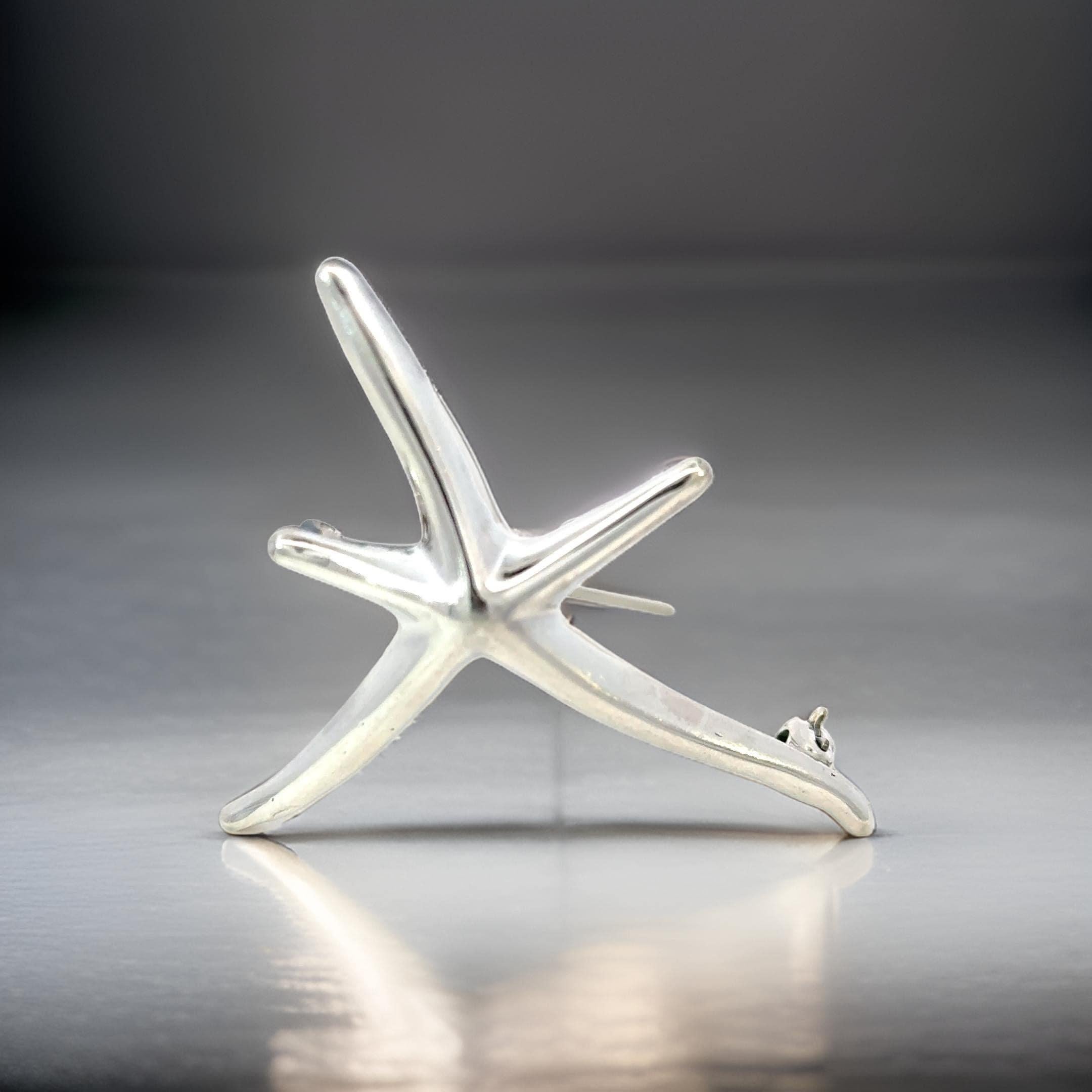 Autentico Tiffany & Co. Spilla Stella Marina in argento Sterling Di Elsa Peretti for Tiffany & Co. 6.5g TIF841

VENDITORE DI FIDUCIA DAL 2002

SI PREGA DI VEDERE LE NOSTRE CENTINAIA DI FEEDBACK POSITIVI DA PARTE DEI NOSTRI CLIENTI!!!

SPEDIZIONE
