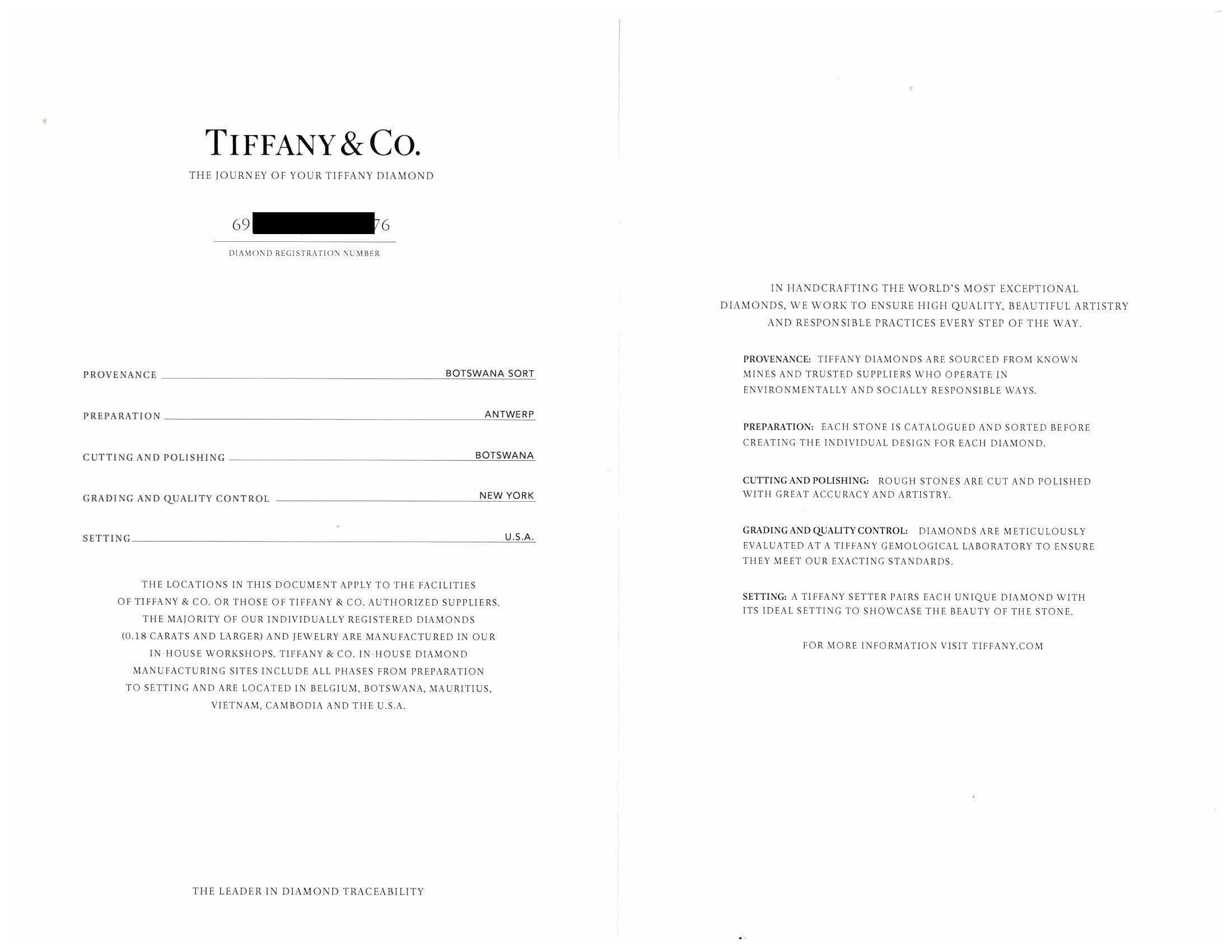 Tiffany & Co. Etoile Platinum 1.26 Cts Total Round Pave Diamond Engagement Ring For Sale 6