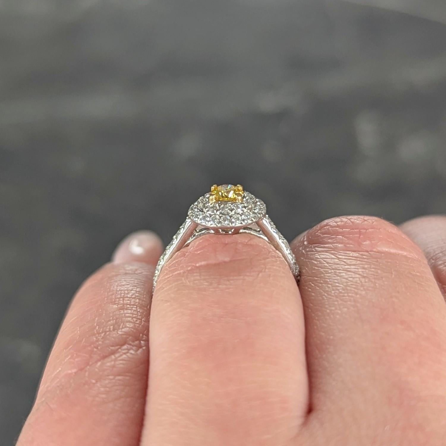 Tiffany & Co. Fancy Vivid Gelber Diamant Platin Gelbgold Soleste Halo-Ring 9
