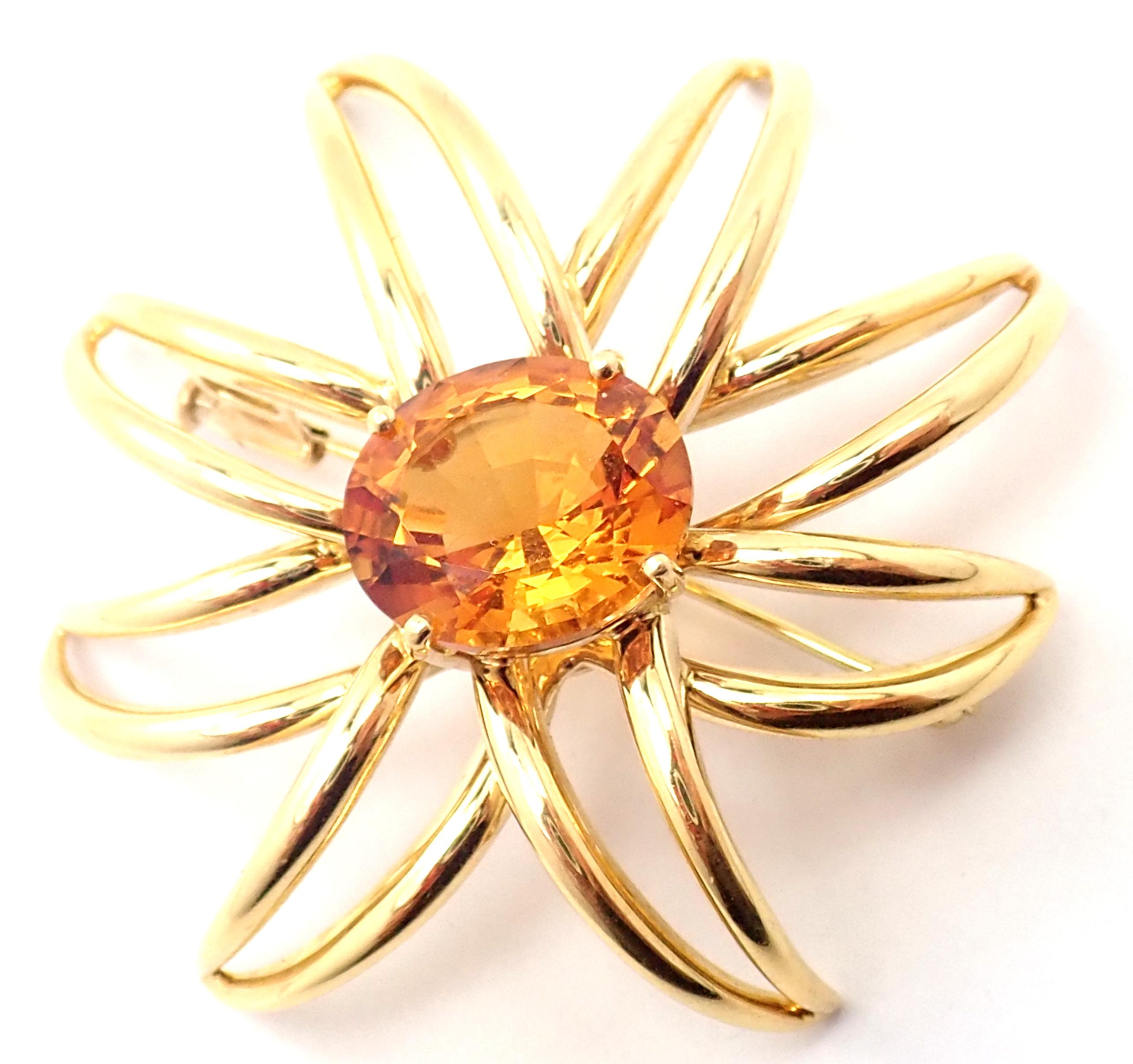Tiffany & Co Fireworks Citrine Large Yellow Gold Pin Brooch 2