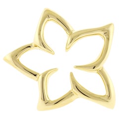 Retro Tiffany & Co. Floral Star Pin Brooch