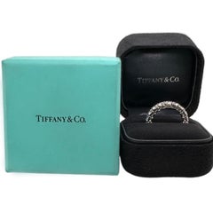 Tiffany & Co FOREVER Full Circle Round Diamond 3.02 tcw Band Ring Platinum