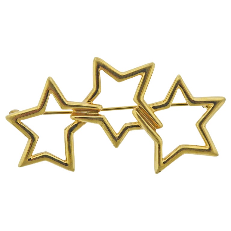 Star Brooch Star Pin