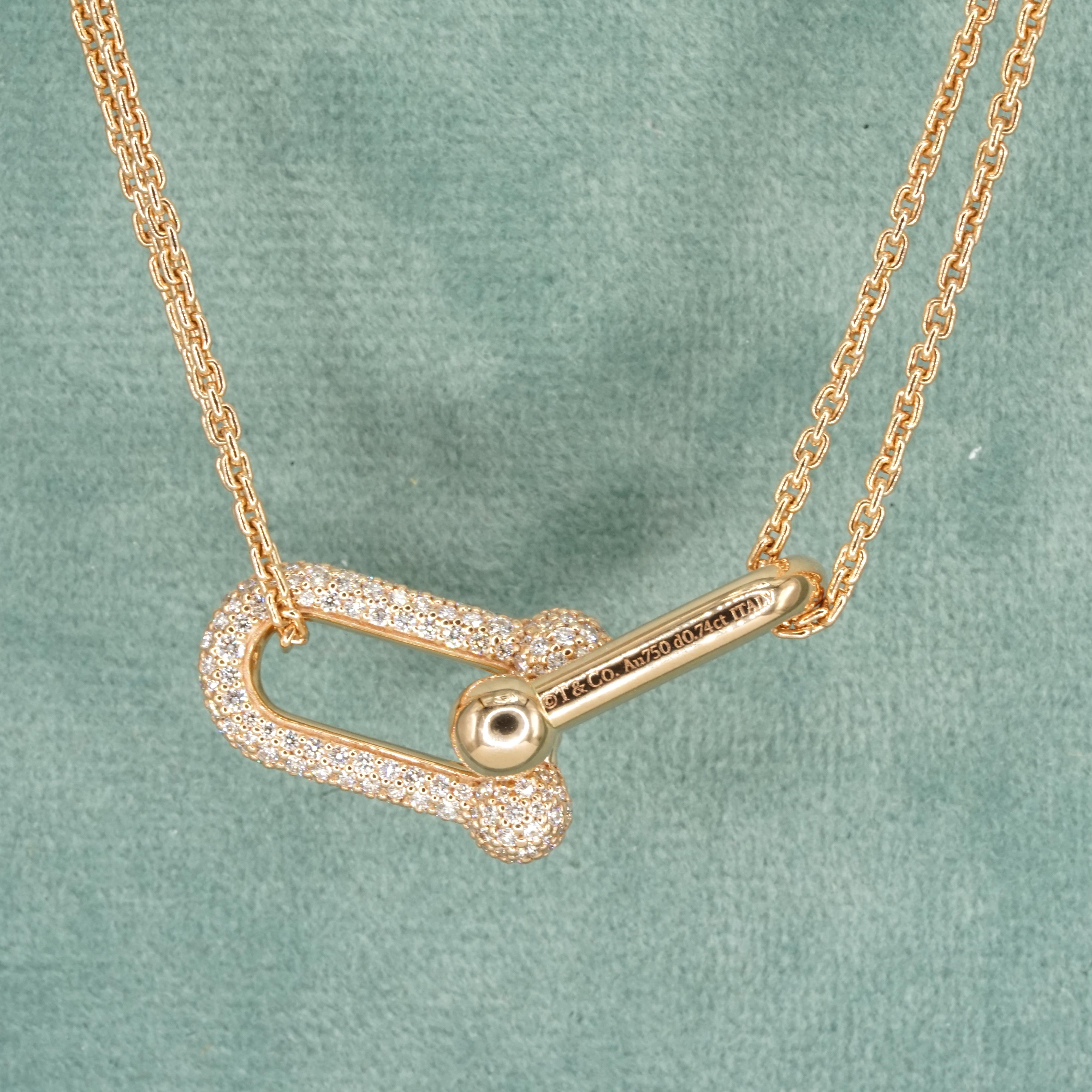 Tiffany & Co. Collana con ciondolo a doppio anello in oro rosa 18 carati di Hardware.

Questa squisita collana dell'iconica collezione Hardware di Tiffany & Co. presenta un audace ma raffinato pendente a doppia maglia ornato da circa 0,74 carati di