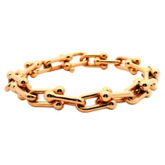 Tiffany & Co. Brazalete HardWear 8" XXX-Grande