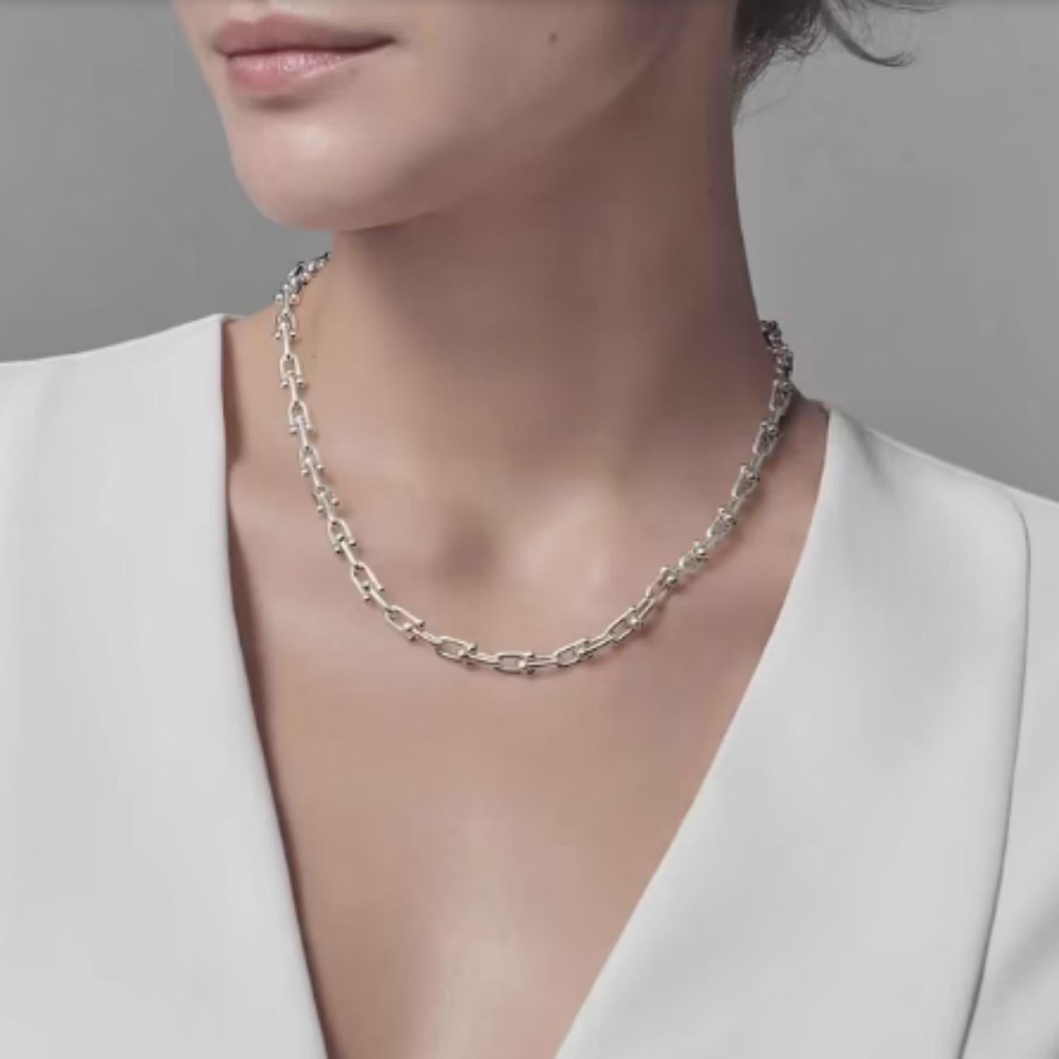 Tiffany & Co. Hardwear Small Link Necklace in Sterling Sliver 18' Length 2