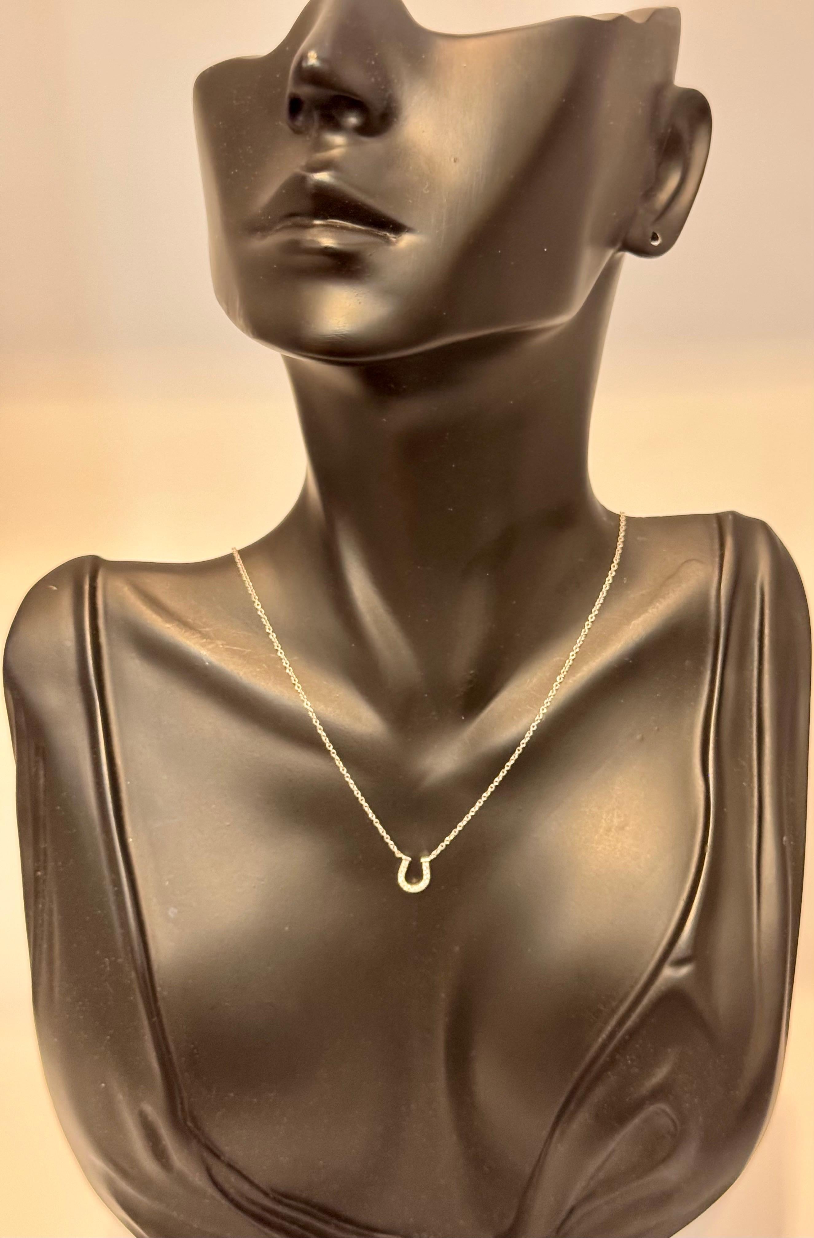 Tiffany & Co. Horseshoe 18P Diamond Necklace 16
