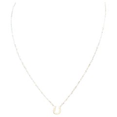 Tiffany & Co. Horseshoe 18P Diamond Necklace 16" 18 Karat White Gold Authentic