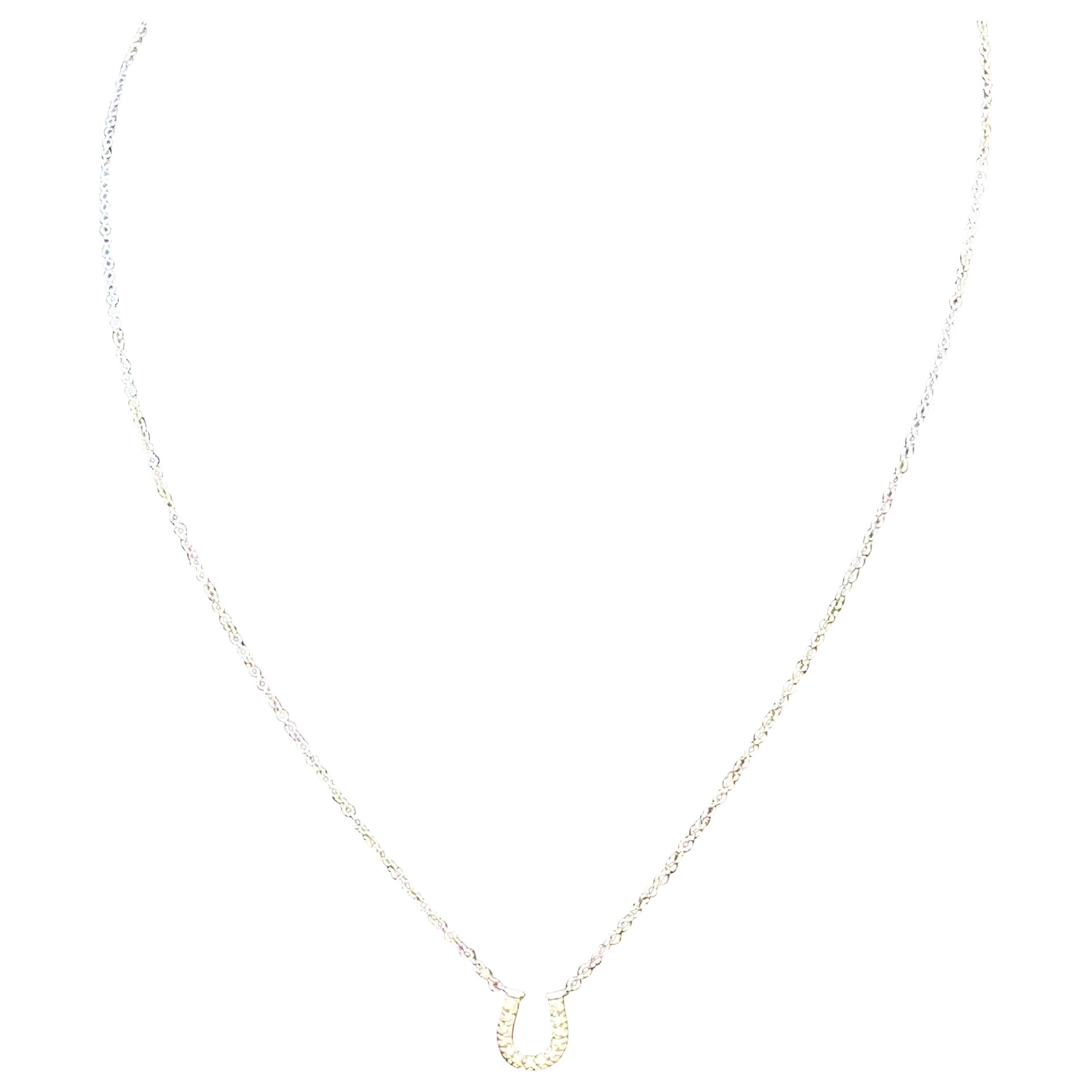 TIFFANY & CO.  Horseshoe 18P Diamond Necklace 16