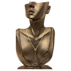 Tiffany & Co. Horseshoe 18P Diamant-Halskette 16" 18 Karat Weißgold Authentisch
