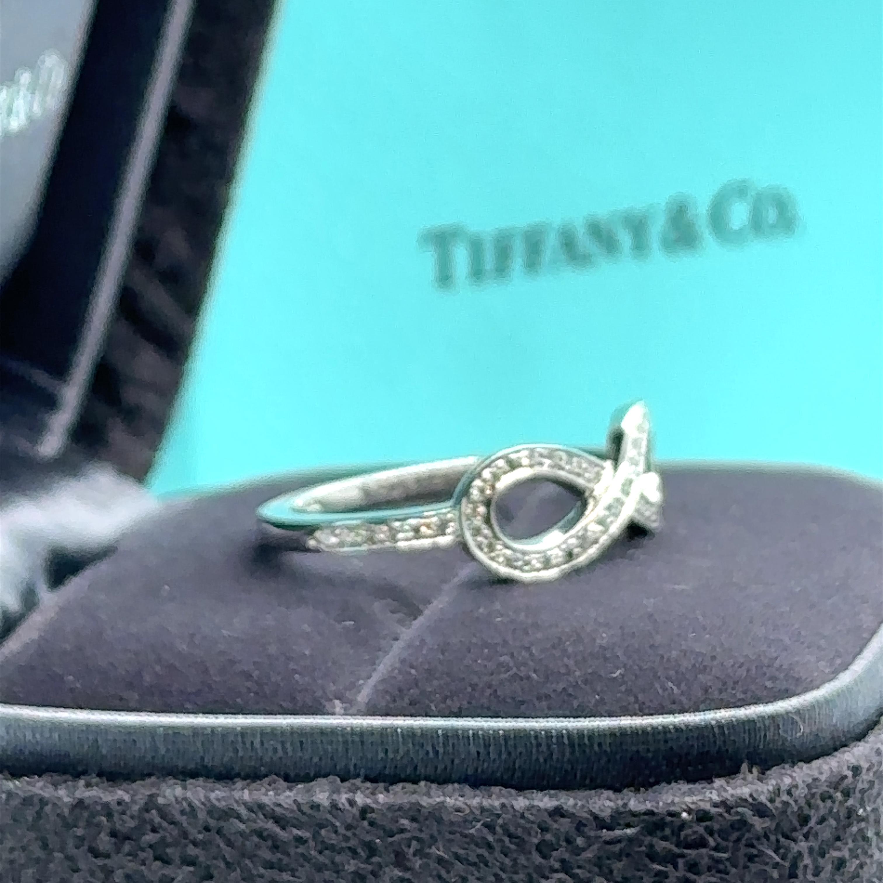 Tiffany & Co Infinity Diamond Ring 0.25 Carat 5