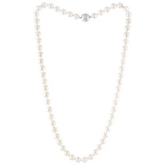 Tiffany & Co. Japanese Akoya Pearl Single Strand Platinum Necklace