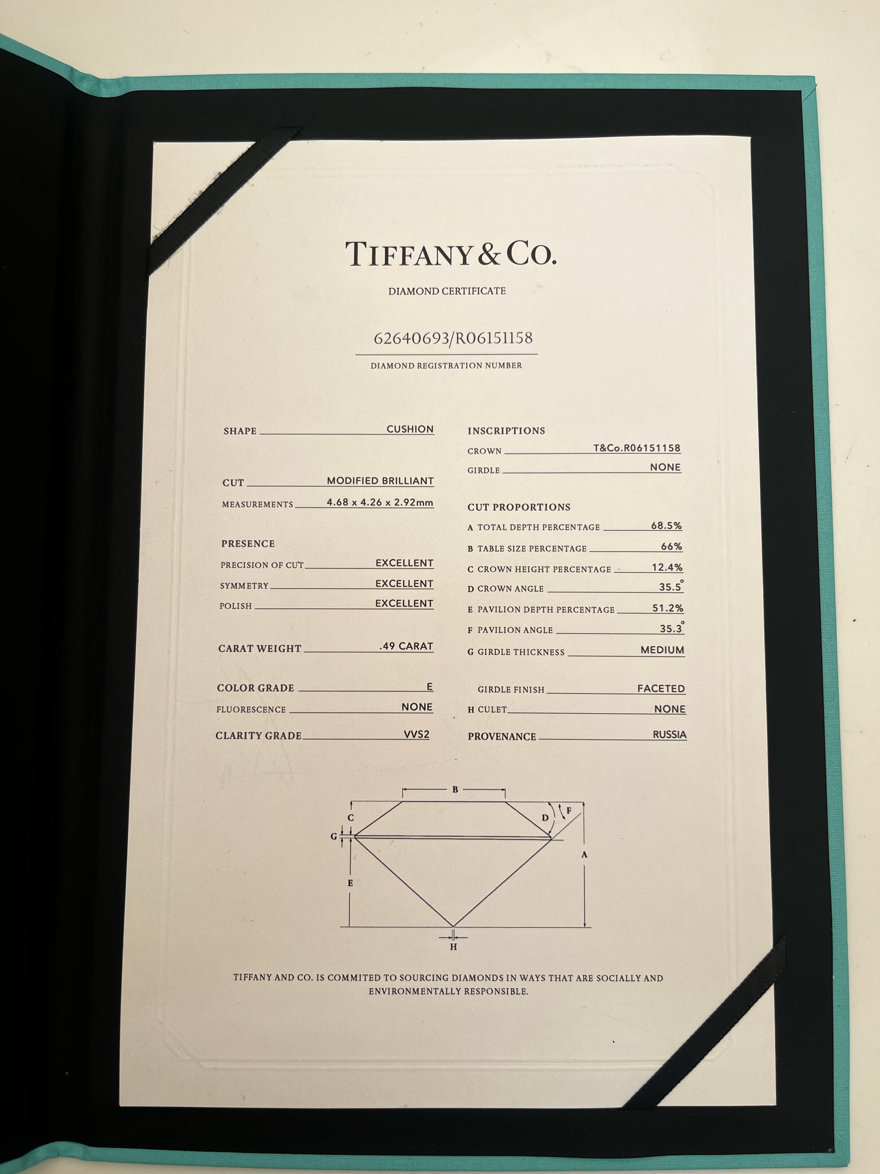Damen-Halo-Ring aus Platin mit Diamanten von Tiffany & Co im Zustand „Hervorragend“ im Angebot in Braintree, GB