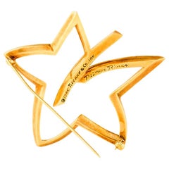 Tiffany & Co. Leaf Star 18 Karat Brooch