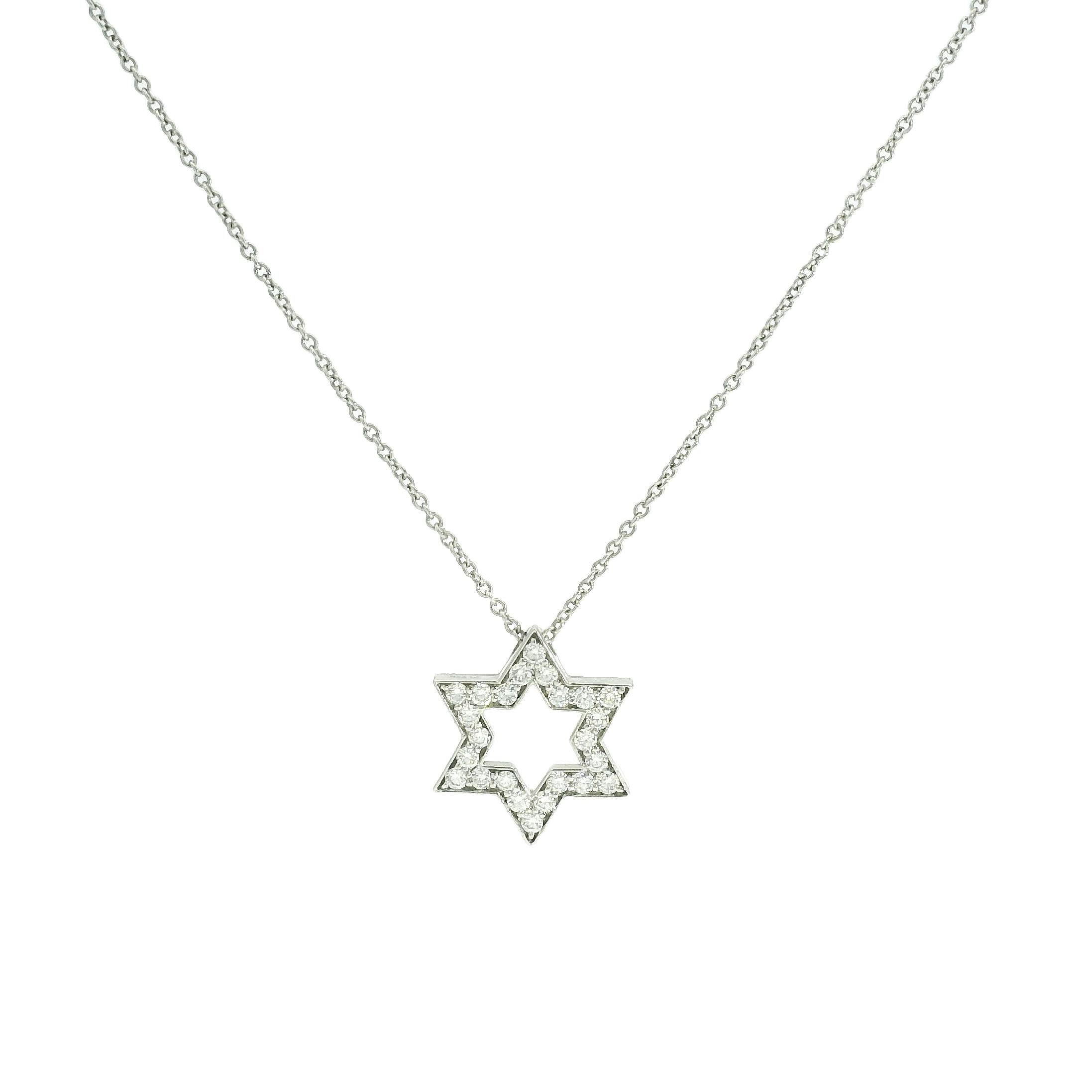 Modern Tiffany & Co. Natural 0.24 Carat Diamond Star Platinum Necklace In Stock
