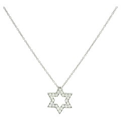 Tiffany & Co. Natural 0.24 Carat Diamond Star Platinum Necklace In Stock