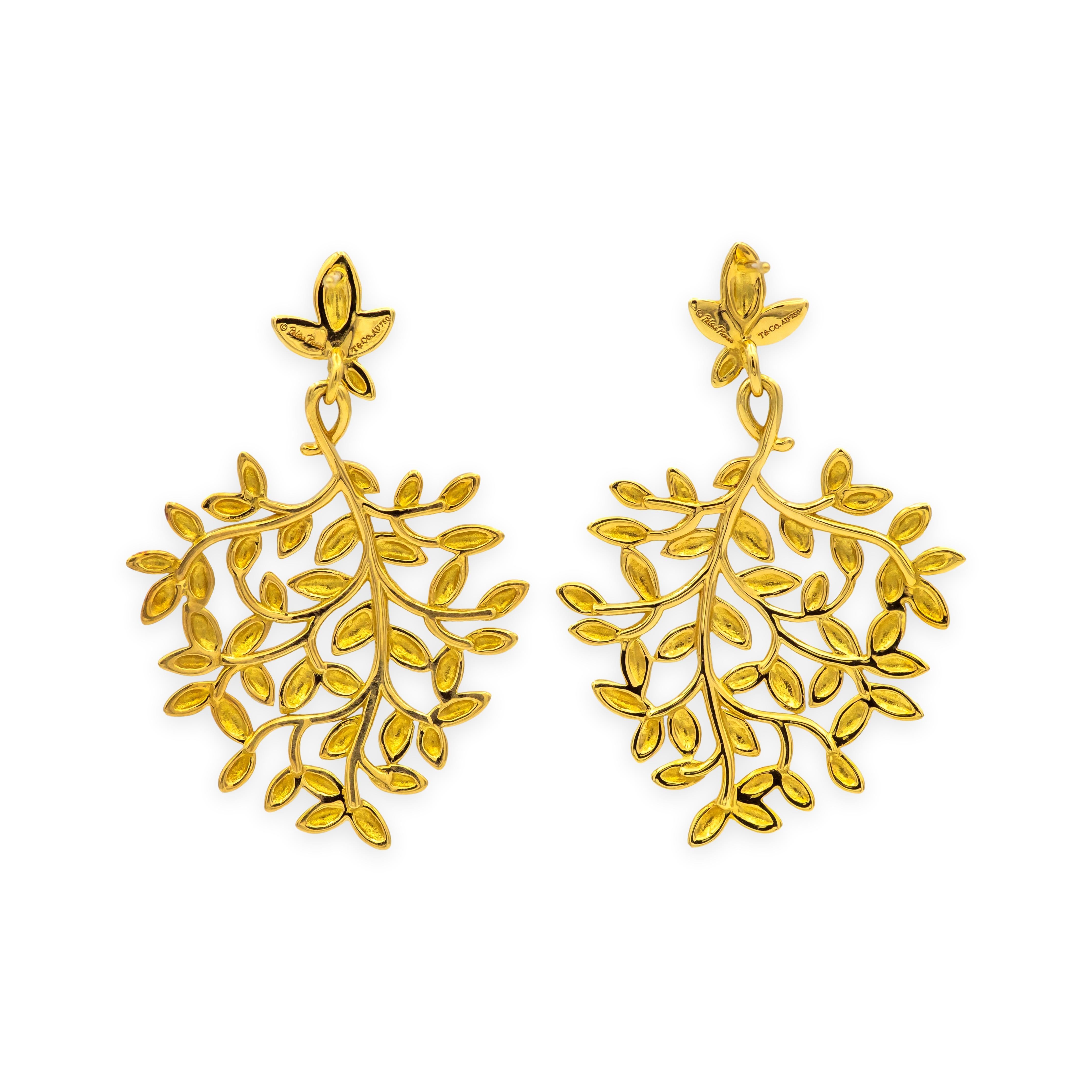 Grande pièce d'occasion de Tiffany & Co. Boucles d'oreilles Paloma Picasso en forme de feuille d'olivier, réalisées en or jaune 18 carats massif. Le design/One ajouré présente des feuilles superposées qui s'effilent gracieusement de la tige à la