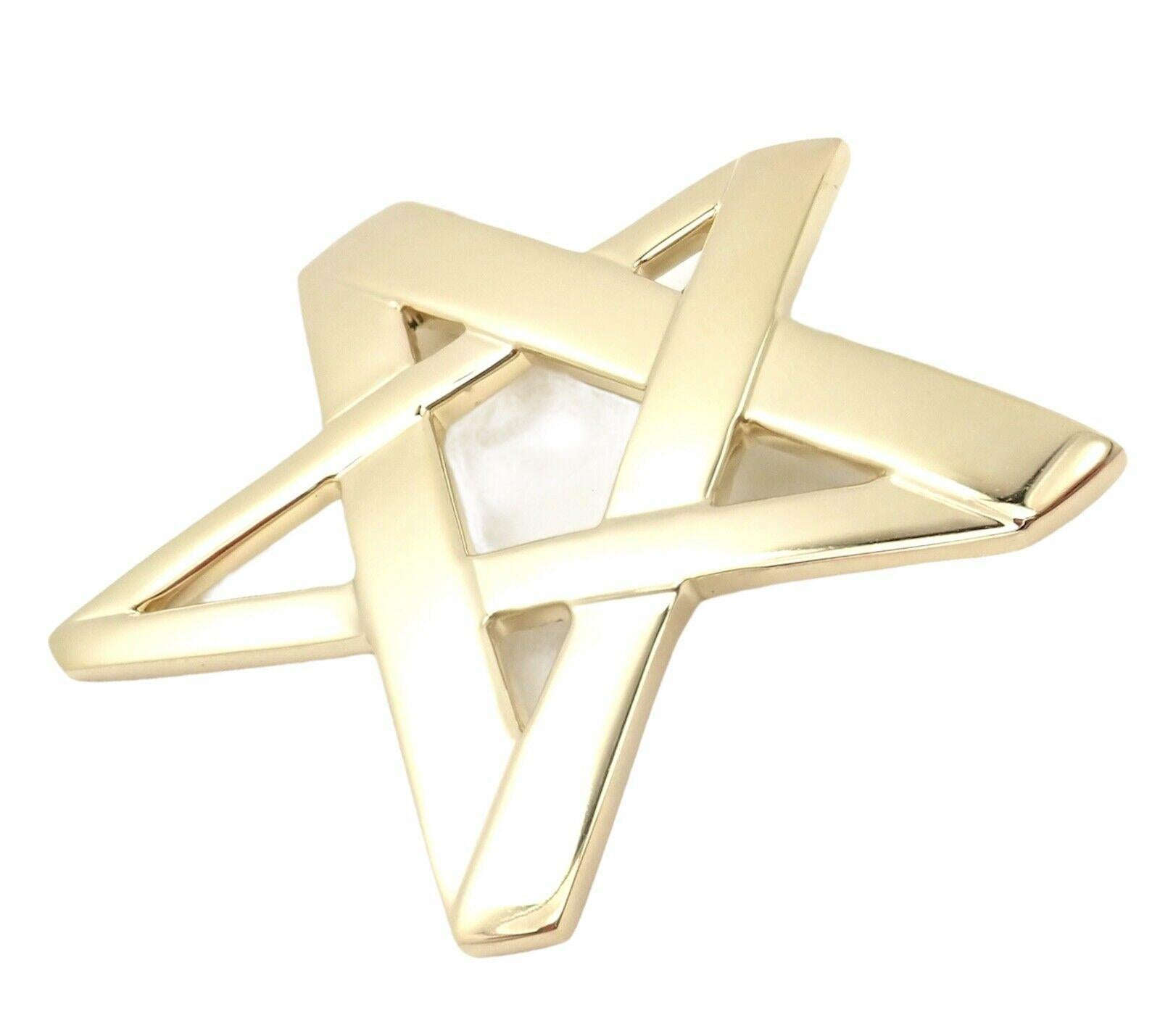 Tiffany & Co Paloma Picasso Large Star Brooch Pendant In Excellent Condition For Sale In Holland, PA