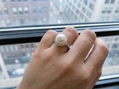 Tiffany & Co. Perle Diamant Platin Halo Ring