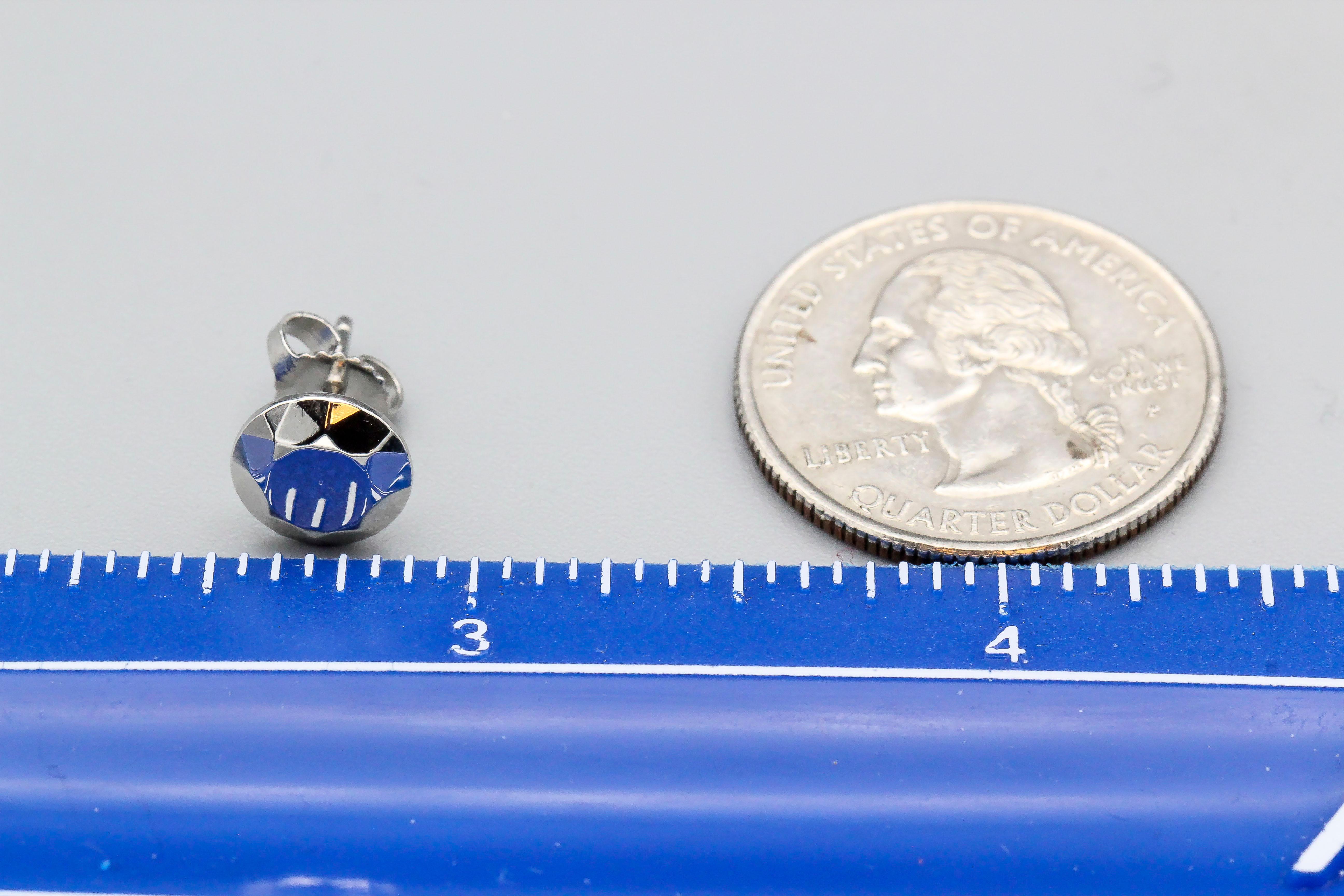 platinum earring 2