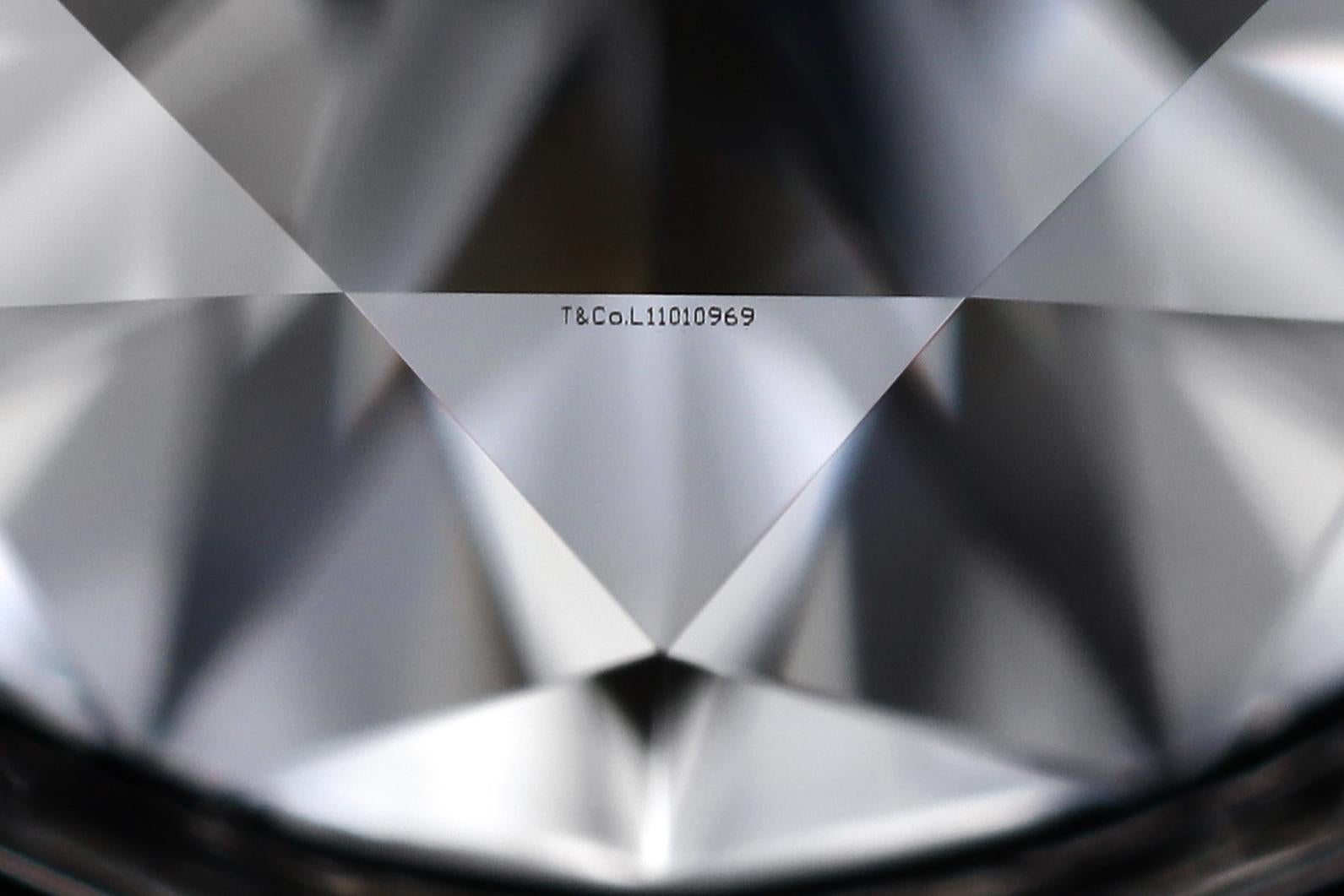 Tiffany & Co. Peretti Diamant-by-the-Yard-Lünette-Set 1,20 ct. Total Ohrstecker 4