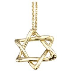 Tiffany & Co. Peretti Large 18 Karat Gold David Star Chain Necklace