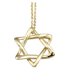 Tiffany & Co. Peretti Large 18 Karat Gold David Star Chain Necklace