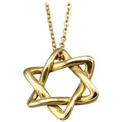 Tiffany & Co. Peretti Small 18 Karat Gold David Star Chain Necklace