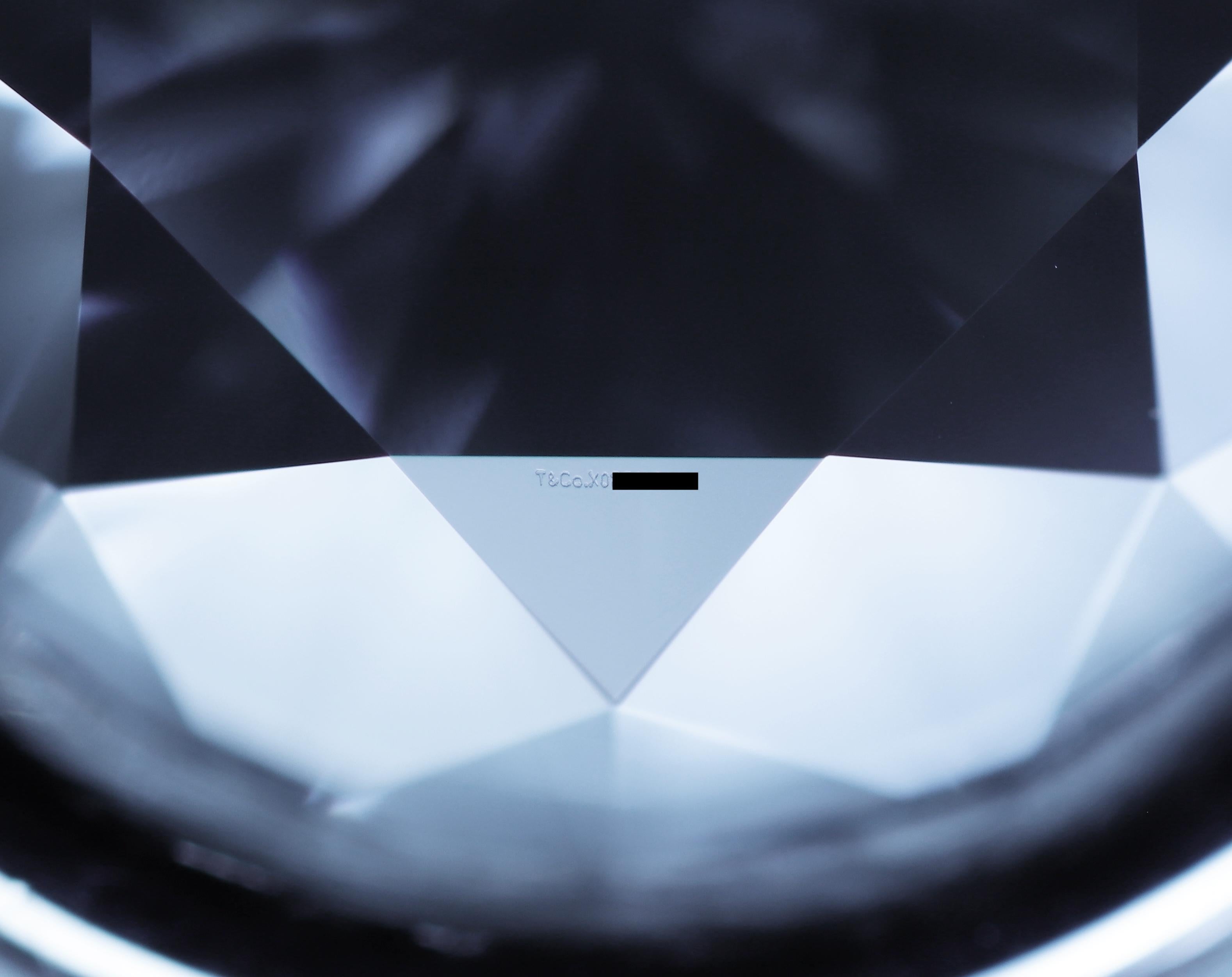 Tiffany & Co. Peretti Solitaire Diamonds by the Yard 24