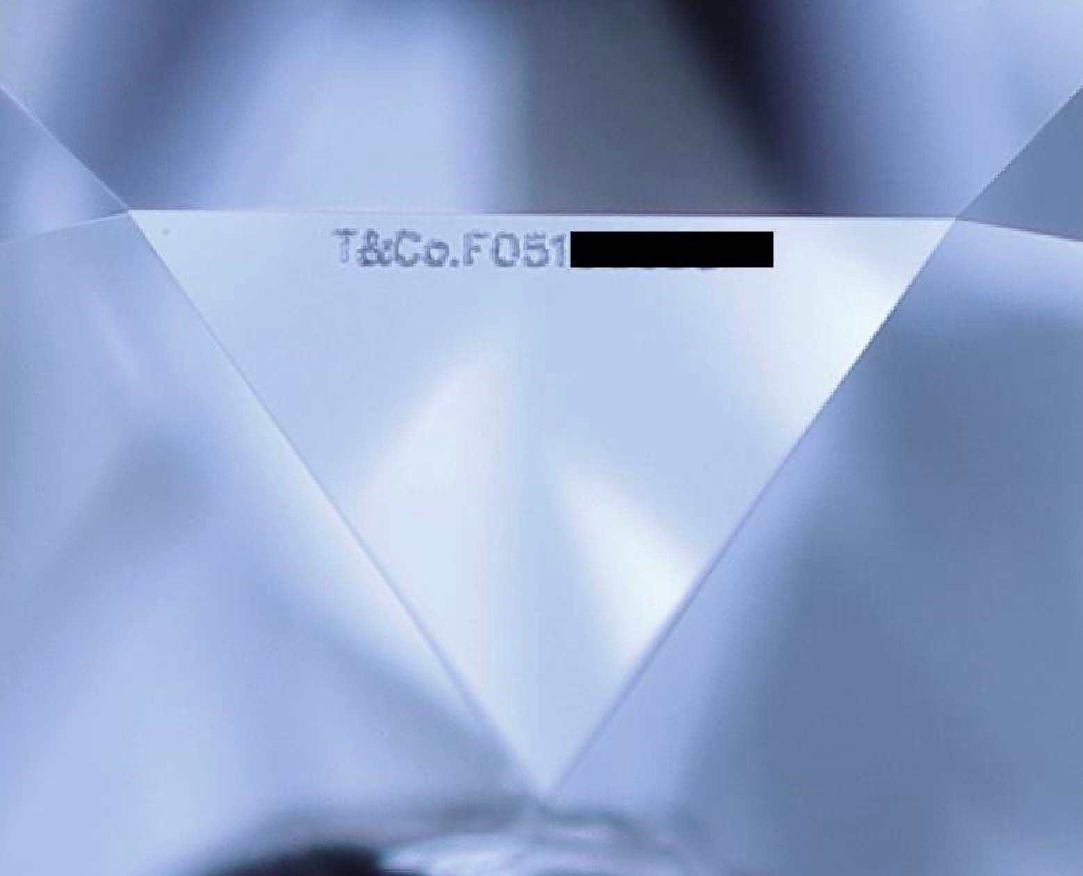 Tiffany & Co. Bague de fiançailles solitaire en platine avec un diamant de 0,24 ct D VVS2 en vente 5