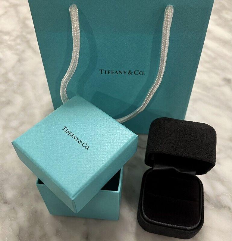 TIFFANY & Co. Anneau de mariage en platine avec diamant en demi-cercle de 3,9 mm 5 en vente 1