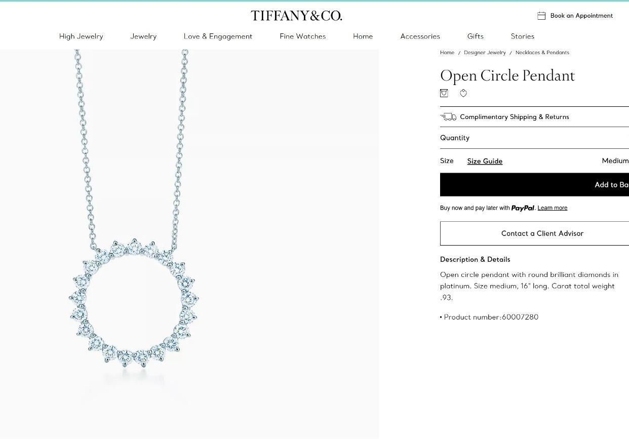 TIFFANY & Co. Collier en platine avec pendentif en forme de cercle ouvert et diamant de 93ct en vente 5