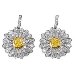 Tiffany & Co. Pendientes de Platino y Oro Amarillo de 18 K Diamante Amarillo Intenso Fantasía