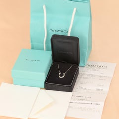 Tiffany & Co. Platinum & Diamond Horseshoe Pendant Necklace