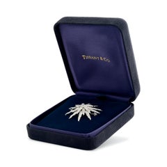 Tiffany & Co. Platinum Diamond Lace Sunburst Pin Brooch