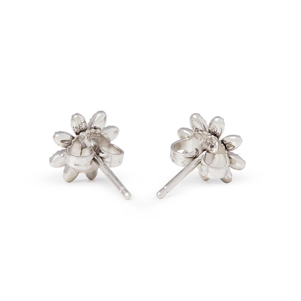 tiffany daisy earrings