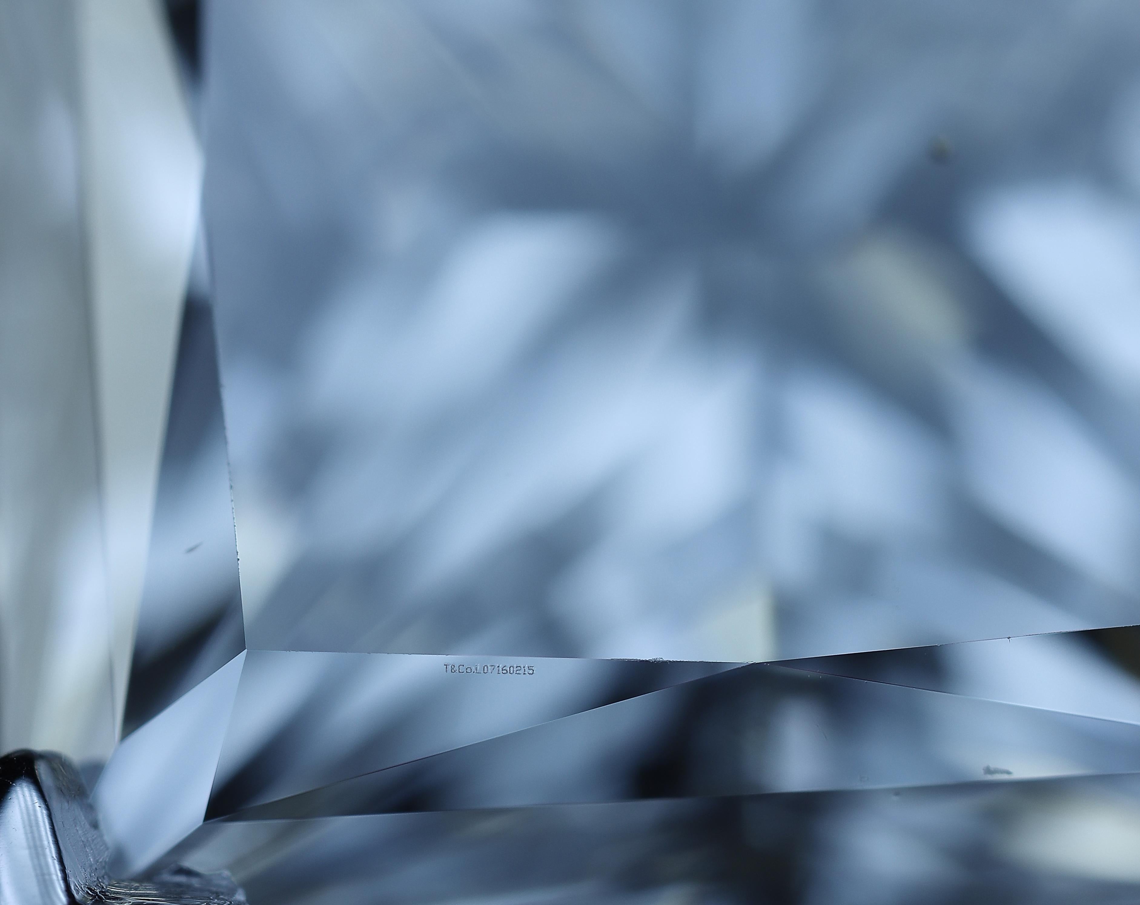 Tiffany & Co. Platin-Diamant-Verlobungsring mit Prinzessin-Diamant 1,66 Karat in der Mitte GVVS1 6