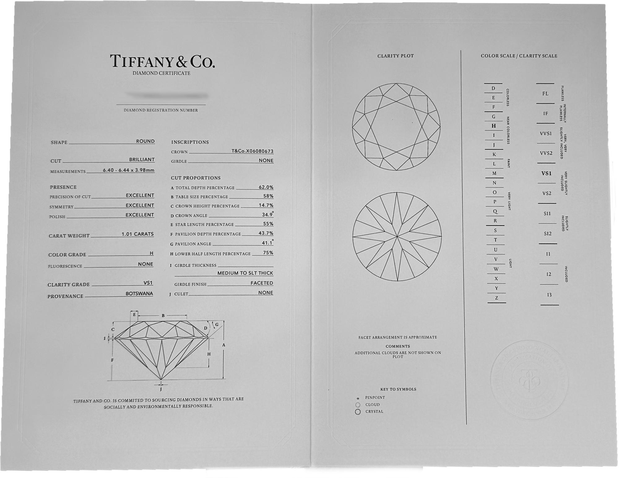 Tiffany & Co. Platinum Diamond Solitaire Ring For Sale 2