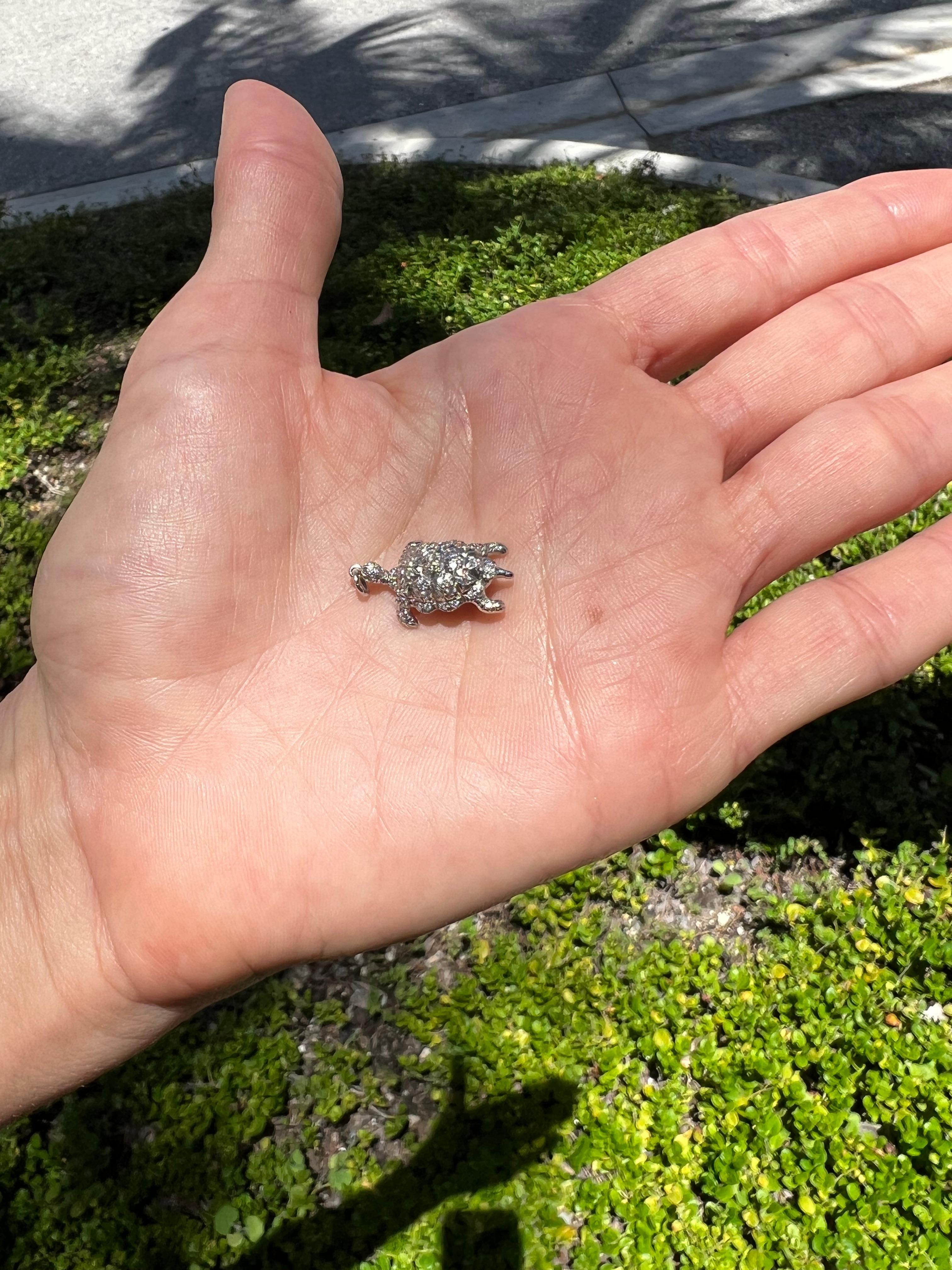 tiffany turtle necklace